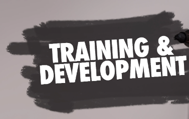 training and development